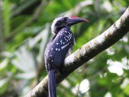 image_3_20160510_1521167145