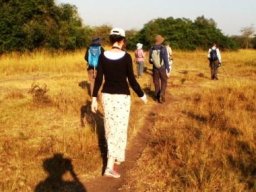 image_6_20160510_1117186012