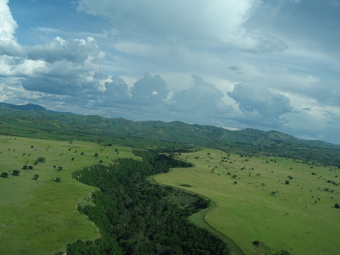 Uganda Natural History Tour